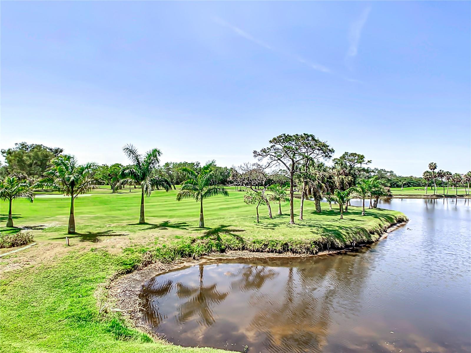 1314 PELICAN CREEK XING #1314, ST PETERSBURG, FL, 33707