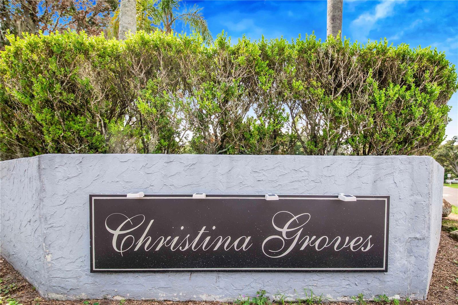 6233 CHRISTINA GROVES CIR W, LAKELAND, FL, 33813