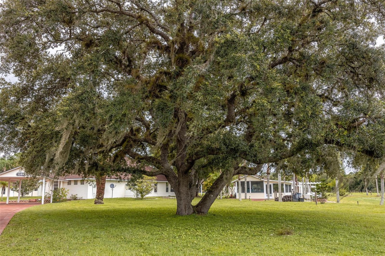 1389 IVAN BLVD, LABELLE, FL, 33935