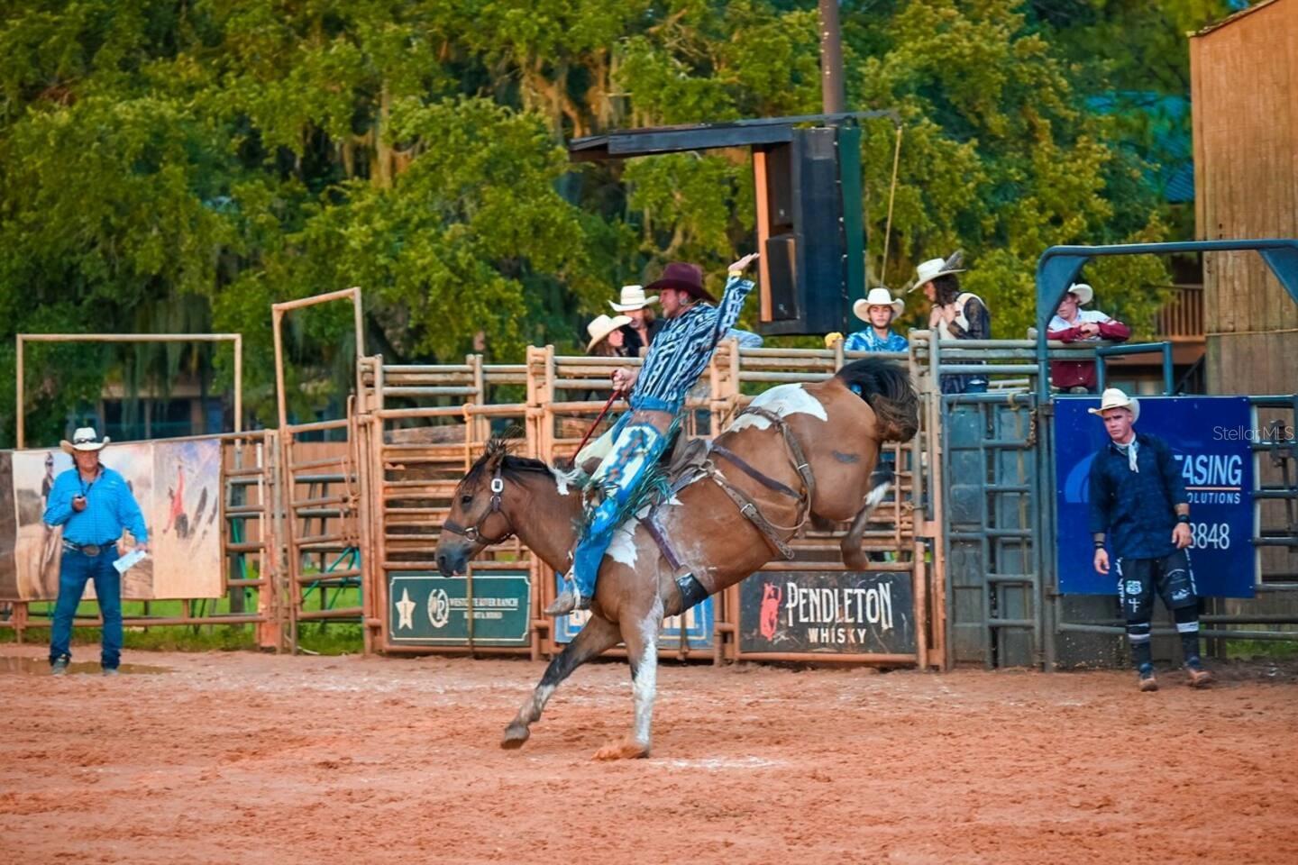 97 LONG HAMMOCK DR, LAKE WALES, FL, 33853