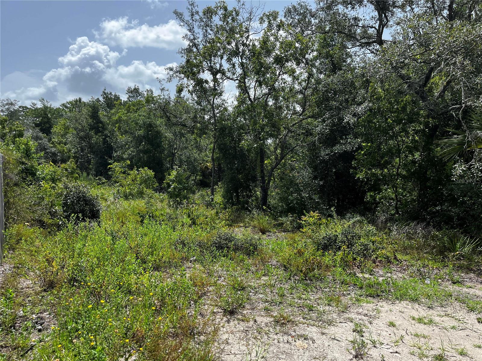 17010 RIDGELINE TRL, HUDSON, FL, 34667