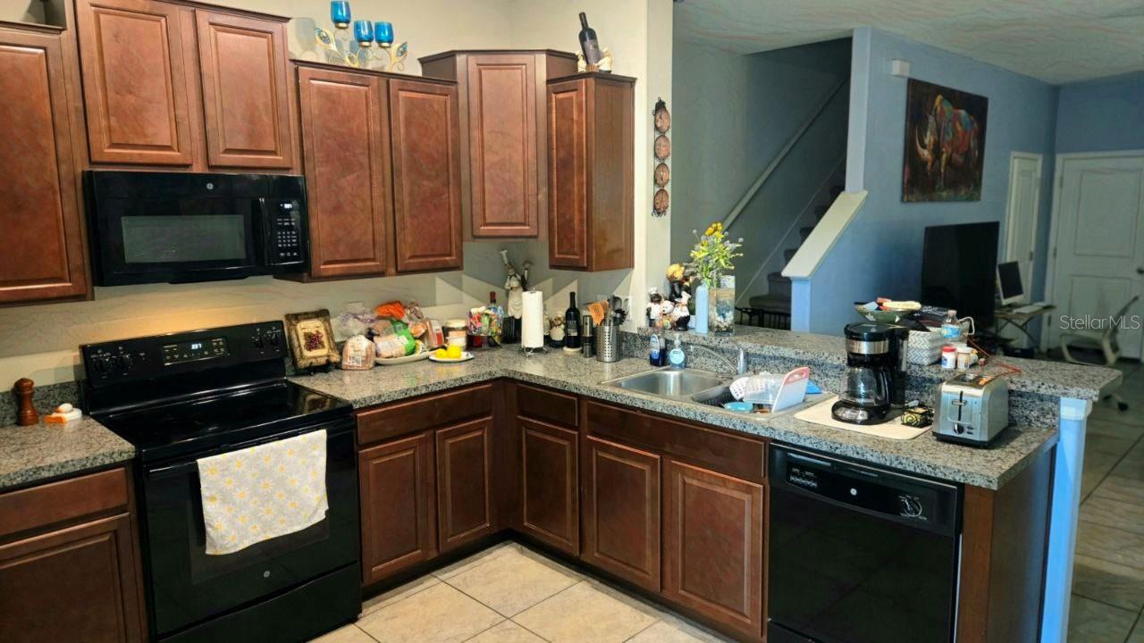 7643 GINGER LILY CT, TAMPA, FL, 33619