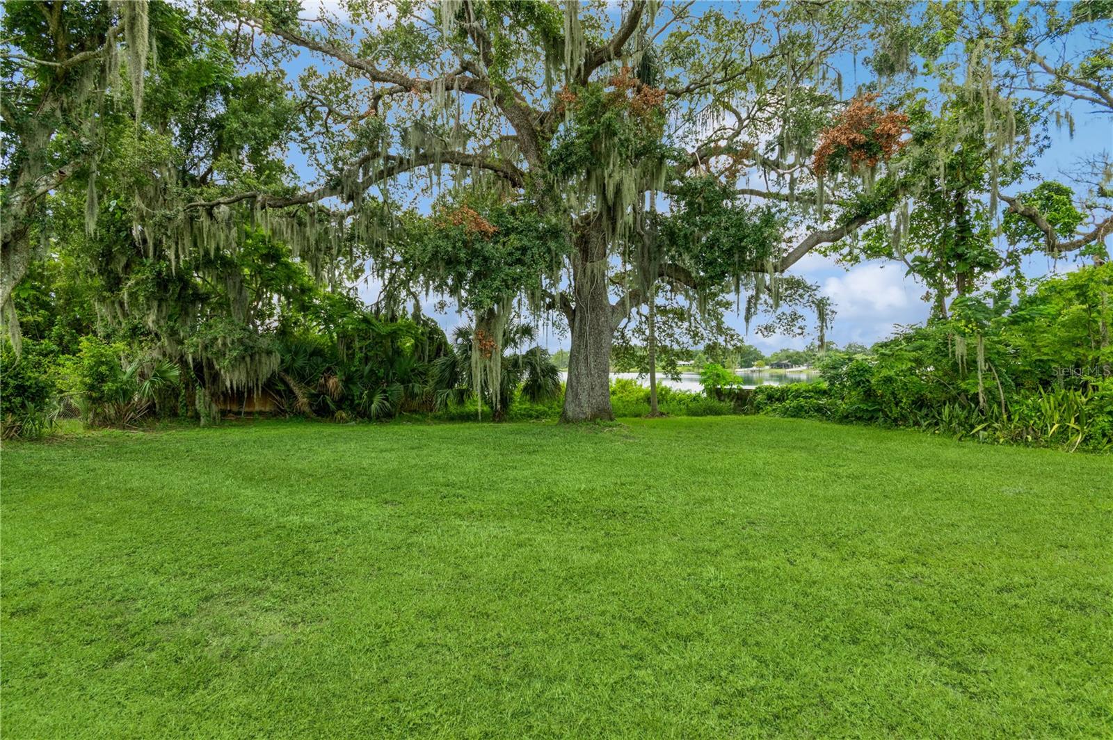 1420 ROCK LAKE DR, ORLANDO, FL, 32805