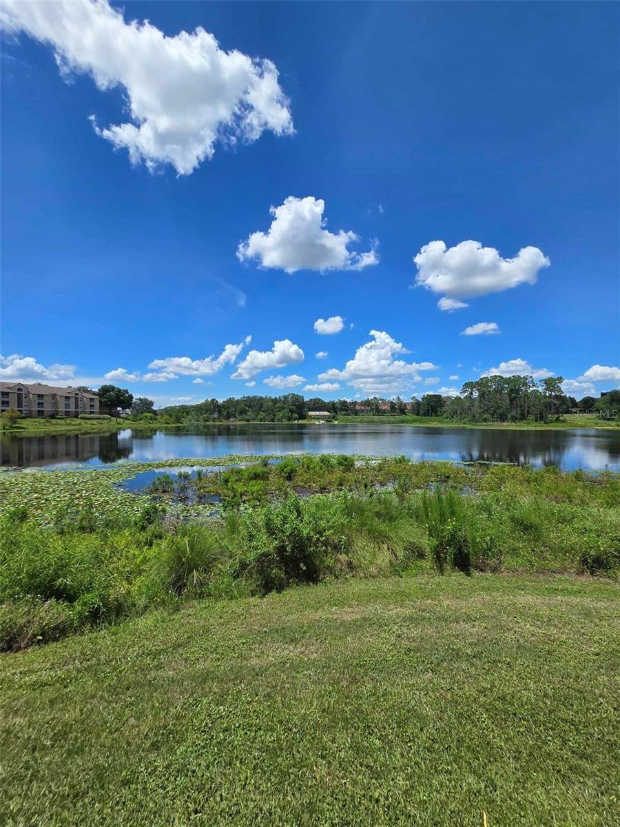 8800 LATREC AVE #9103, ORLANDO, FL, 32819