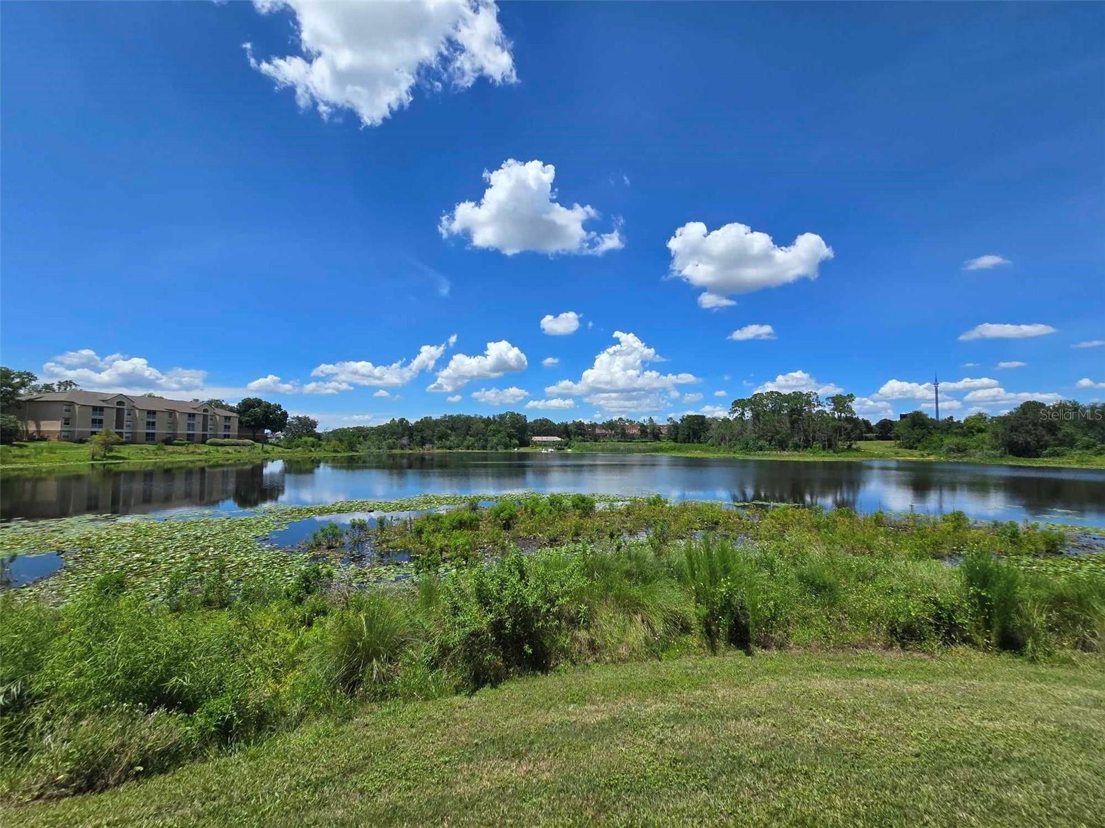 8800 LATREC AVE #9103, ORLANDO, FL, 32819
