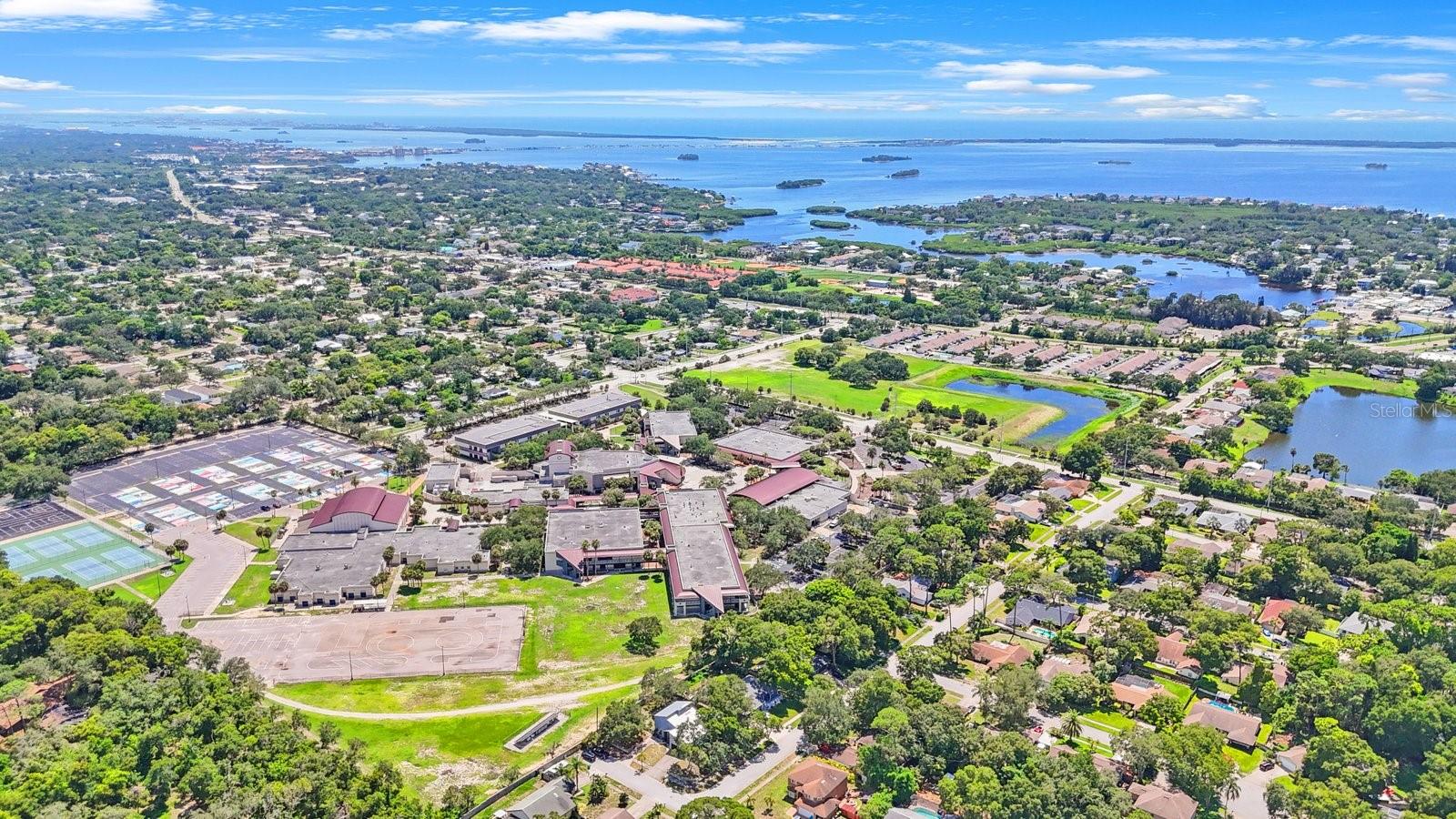 2000 BRENT PL, PALM HARBOR, FL, 34683