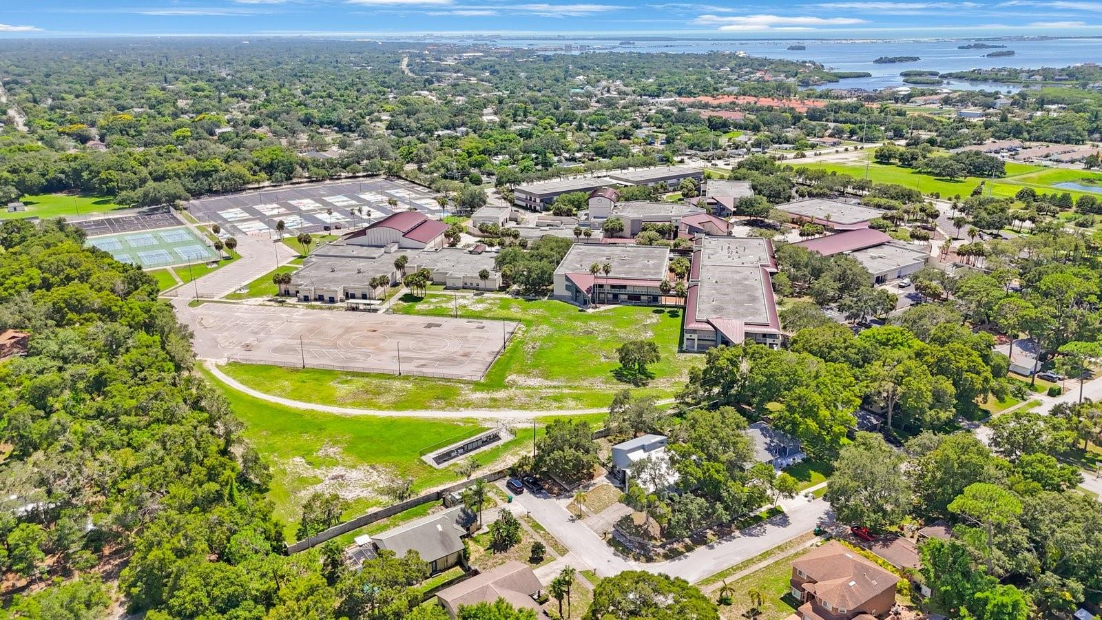2000 BRENT PL, PALM HARBOR, FL, 34683