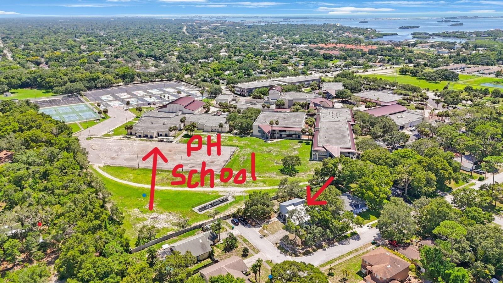 2000 BRENT PL, PALM HARBOR, FL, 34683