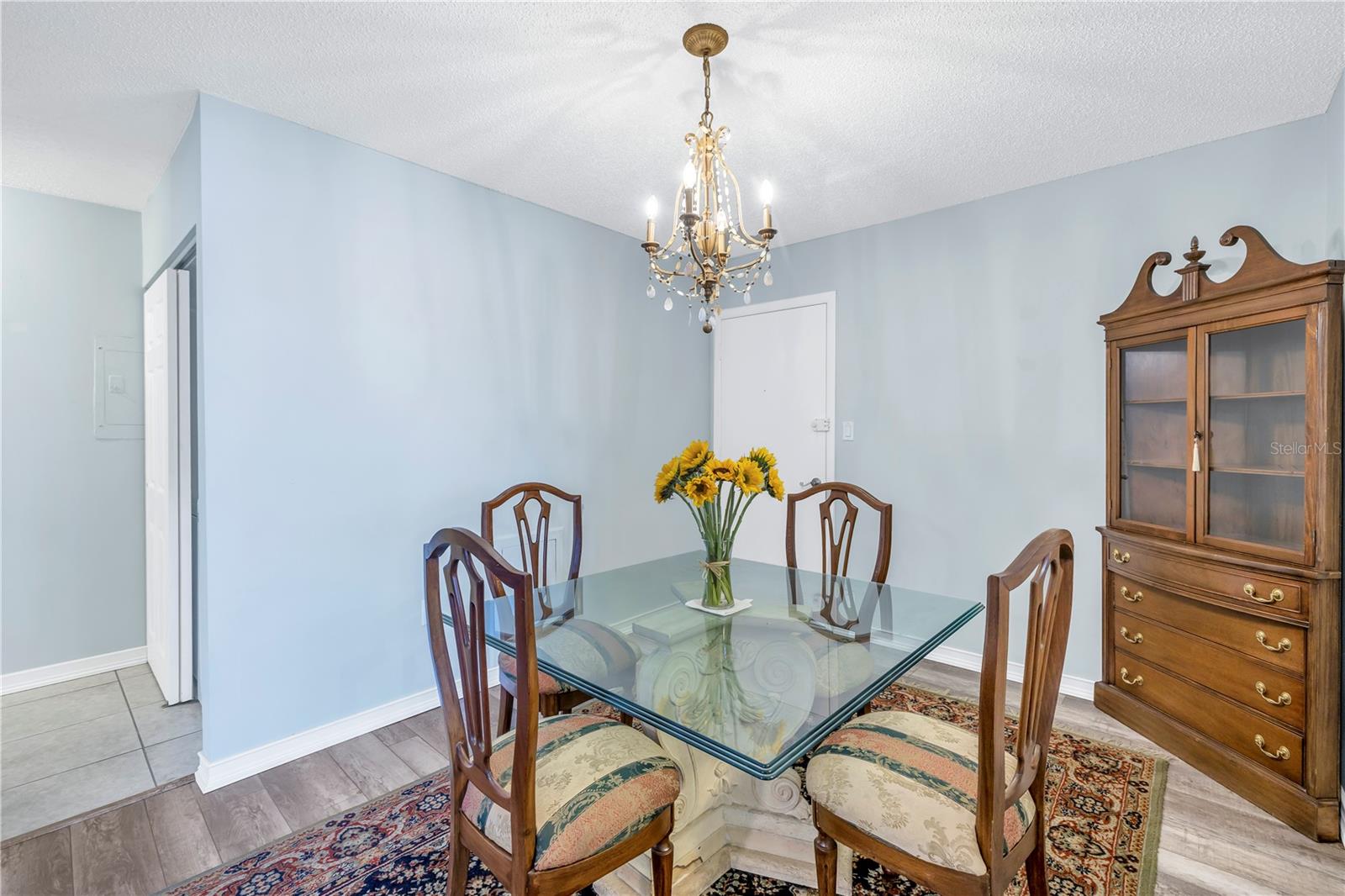 4115 34TH WAY S #195, ST PETERSBURG, FL, 33711