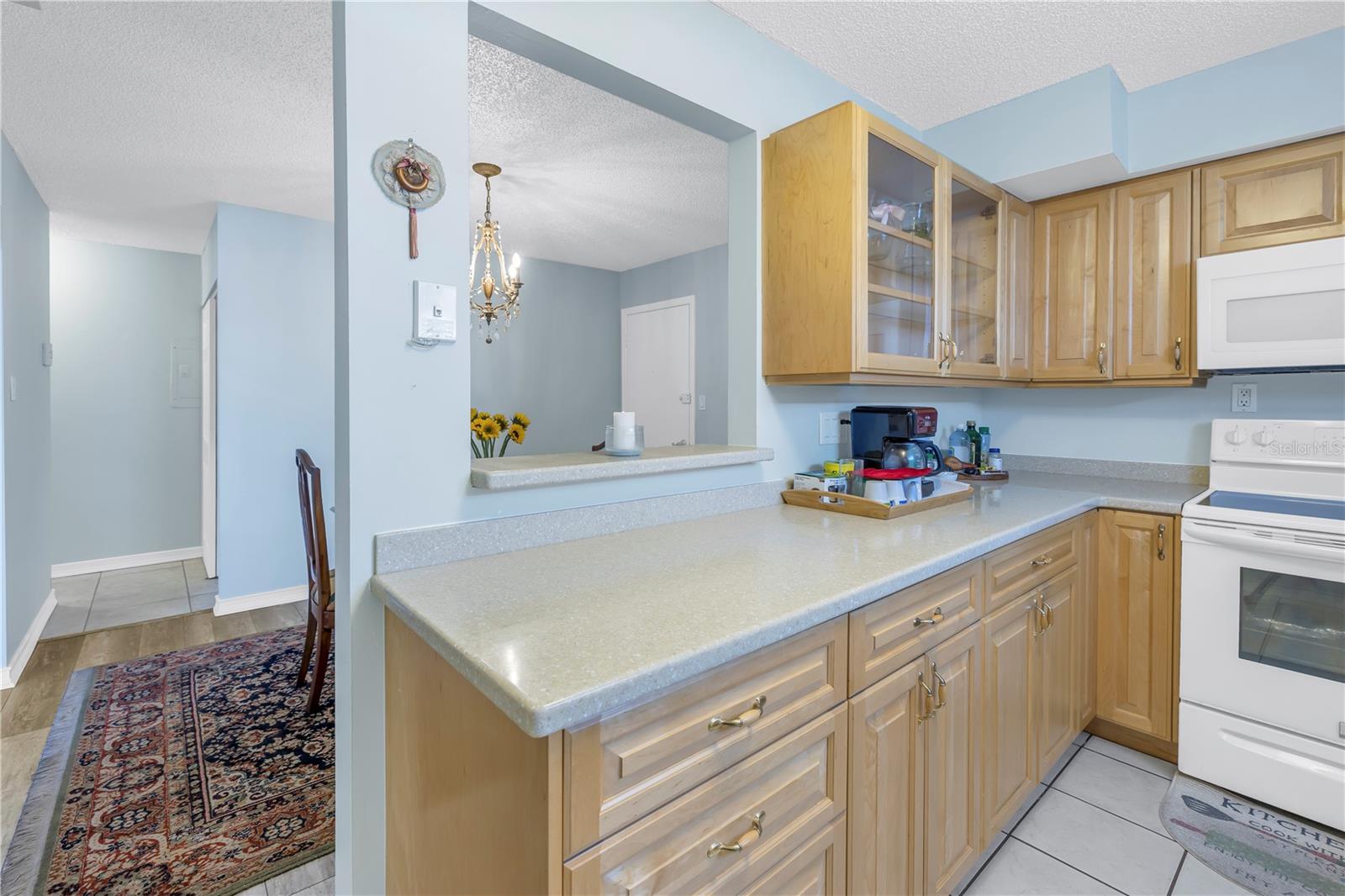 4115 34TH WAY S #195, ST PETERSBURG, FL, 33711