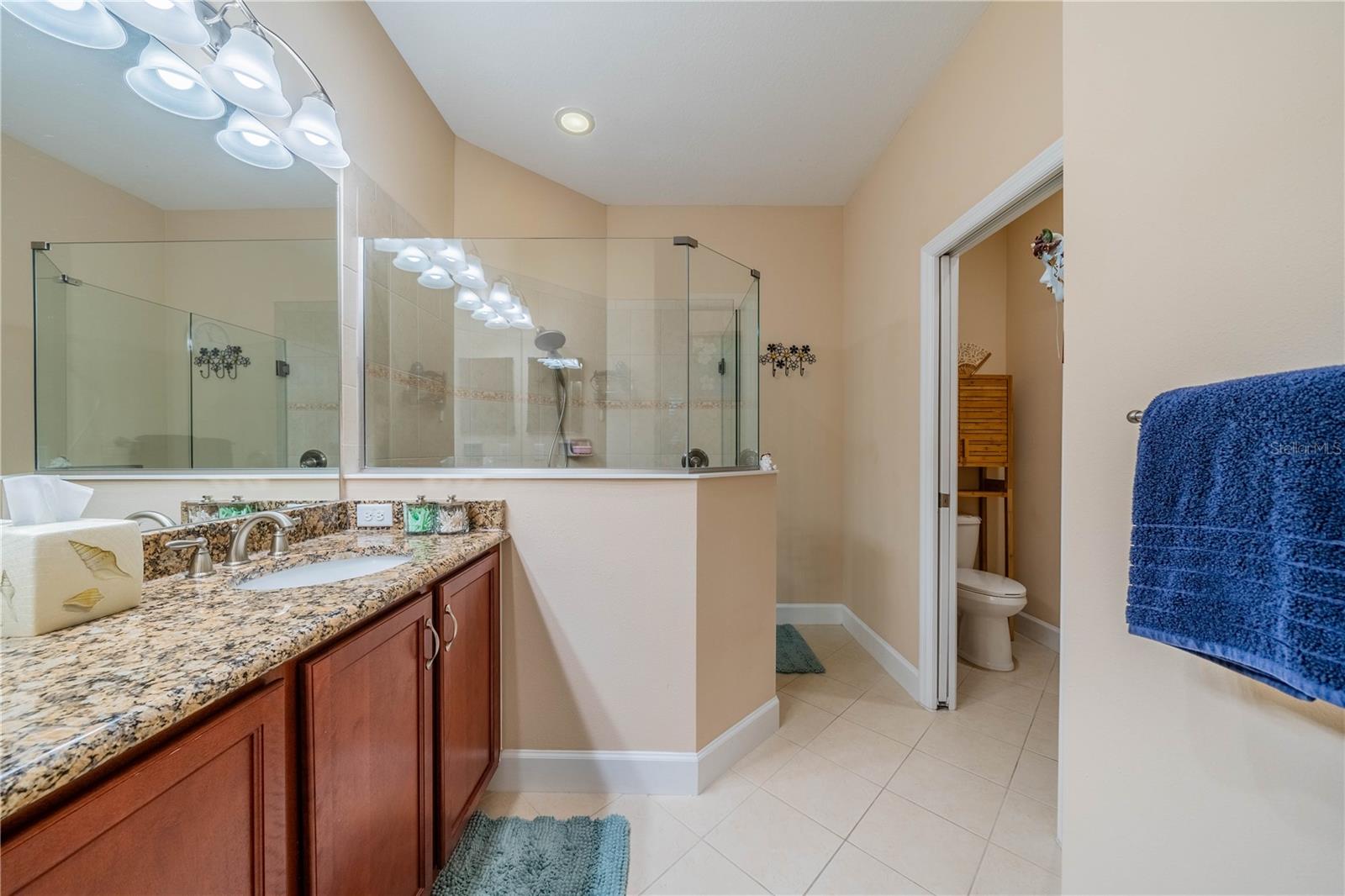 2313 OAKLEY GREEN DR #2313, SUN CITY CENTER, FL, 33573