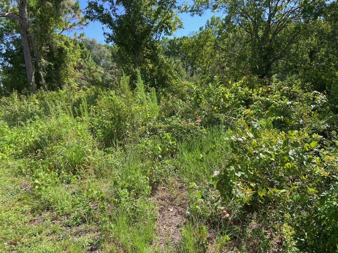 0 OLD GAINESVILLE HWY, INTERLACHEN, FL, 32148