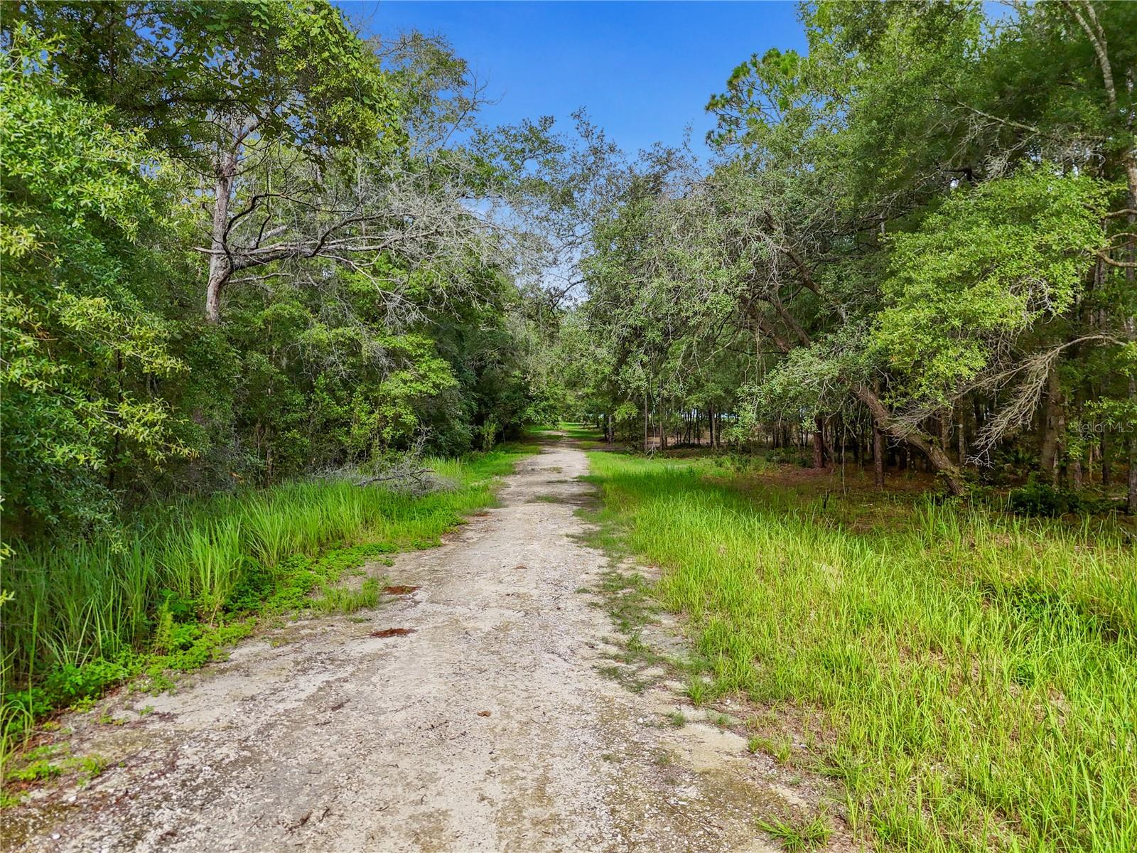 9610 NE 118TH TER, BRONSON, FL, 32621