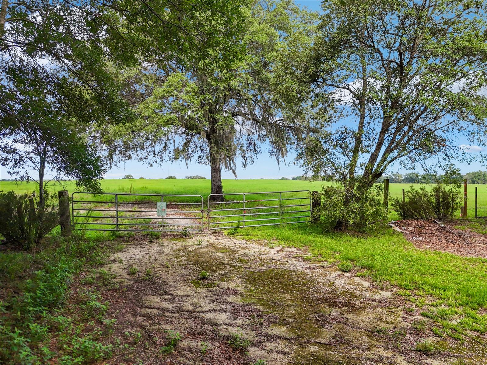 9610 NE 118TH TER, BRONSON, FL, 32621