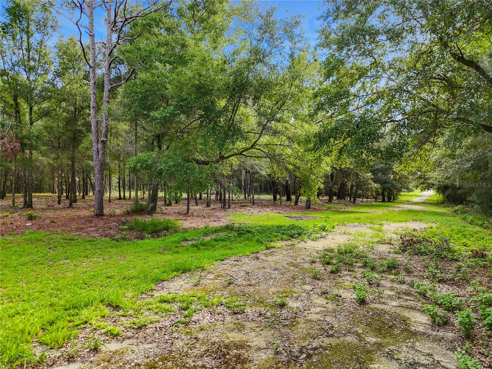 9610 NE 118TH TER, BRONSON, FL, 32621