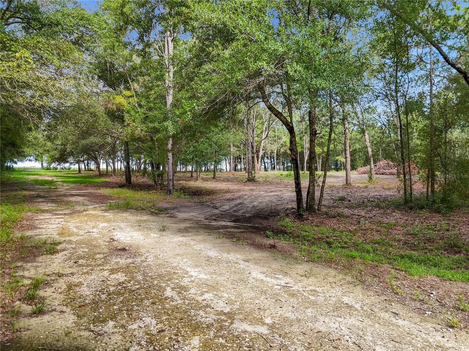 9610 NE 118TH TER, BRONSON, FL, 32621