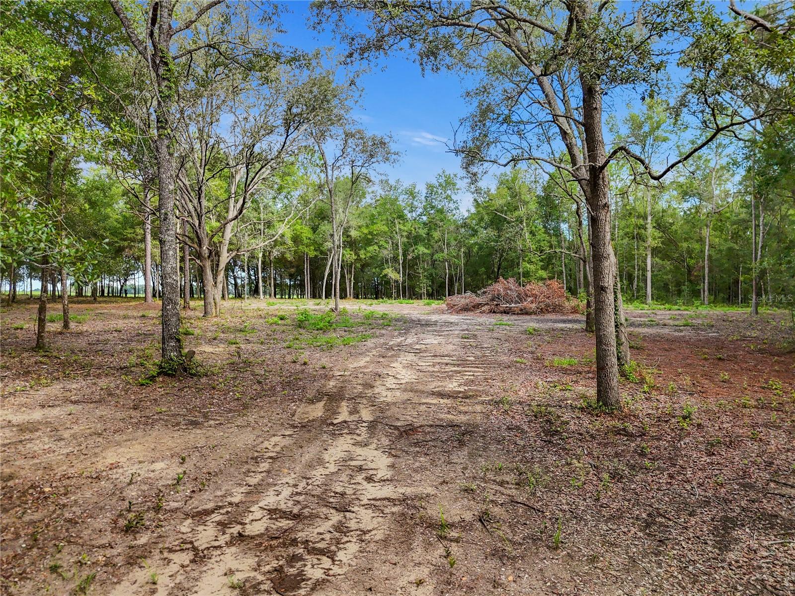 9610 NE 118TH TER, BRONSON, FL, 32621
