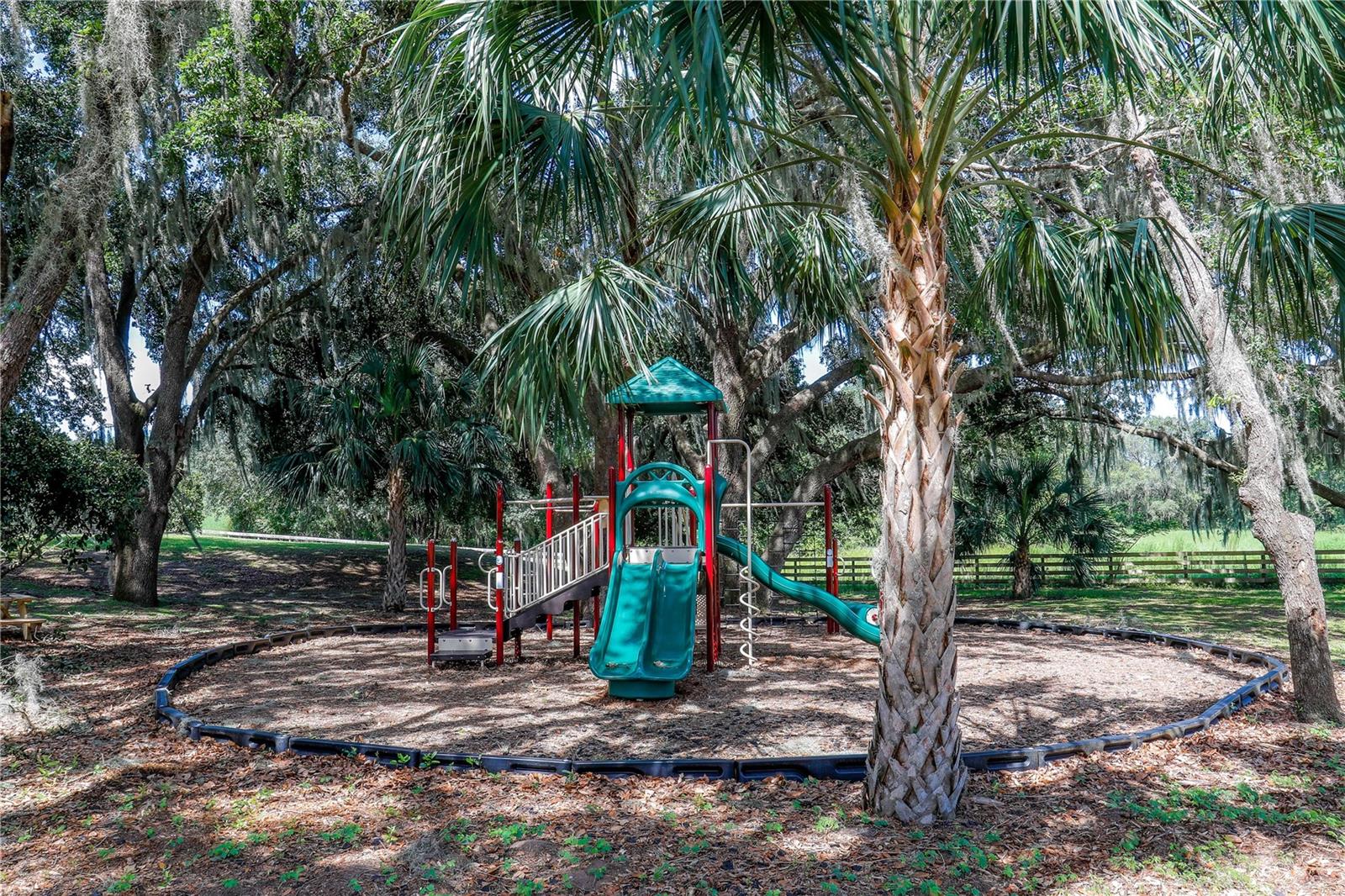 36717 BARRINGTON DR, EUSTIS, FL, 32736