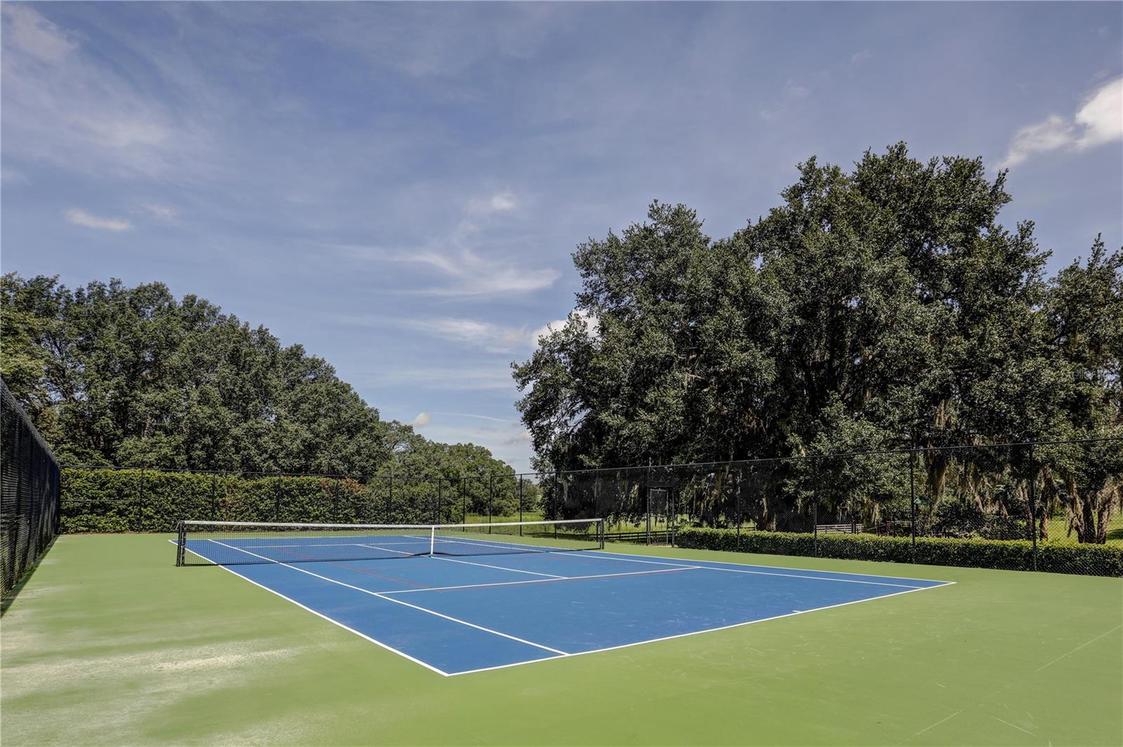 36717 BARRINGTON DR, EUSTIS, FL, 32736