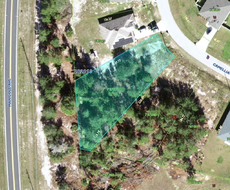 359 CAMELLIA CT, KISSIMMEE, FL, 34759