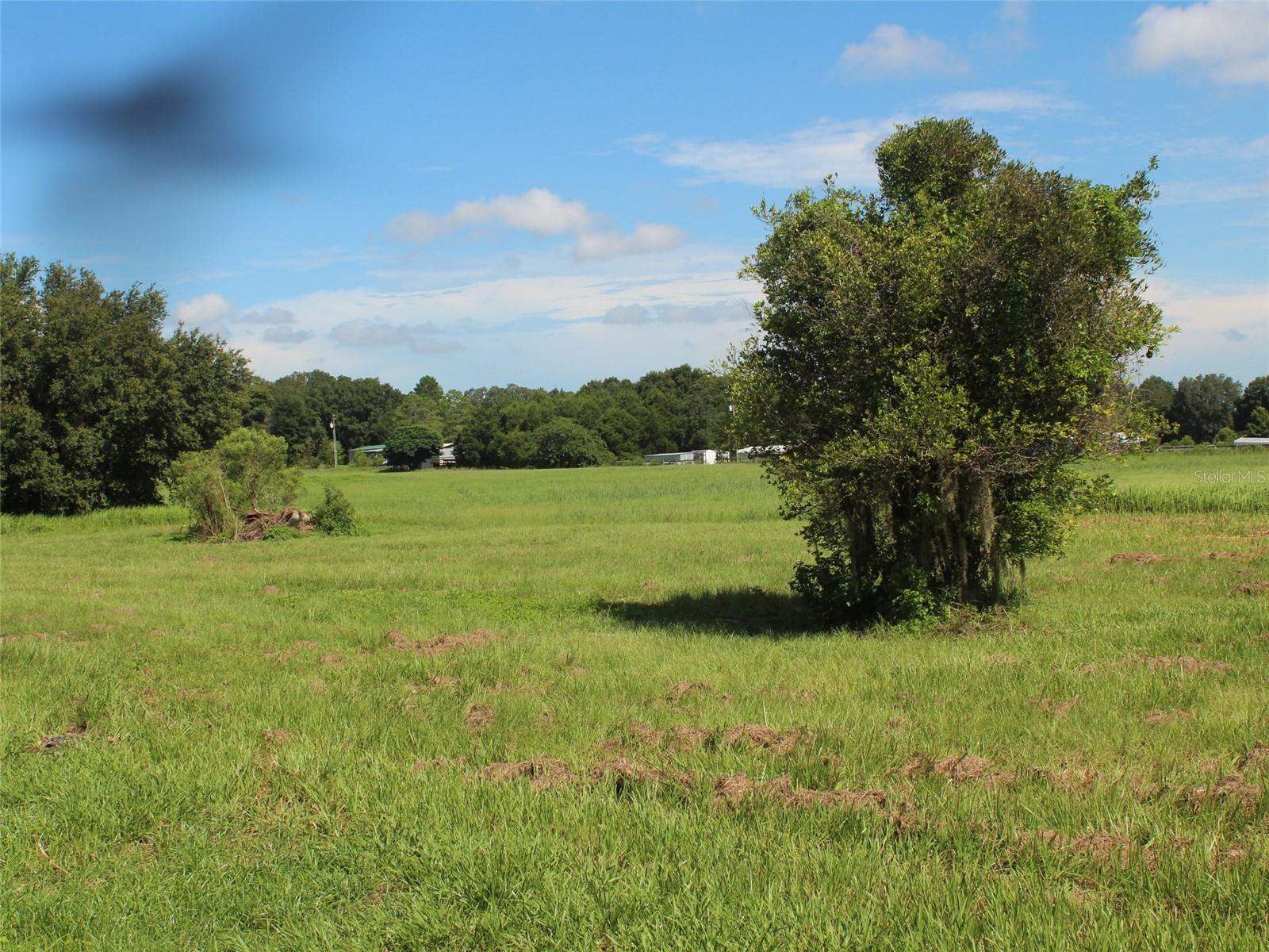 12007 OLD LAKELAND HWY, DADE CITY, FL, 33525