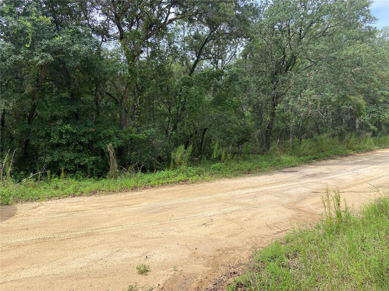 0 BANKS AVE, INTERLACHEN, FL, 32148