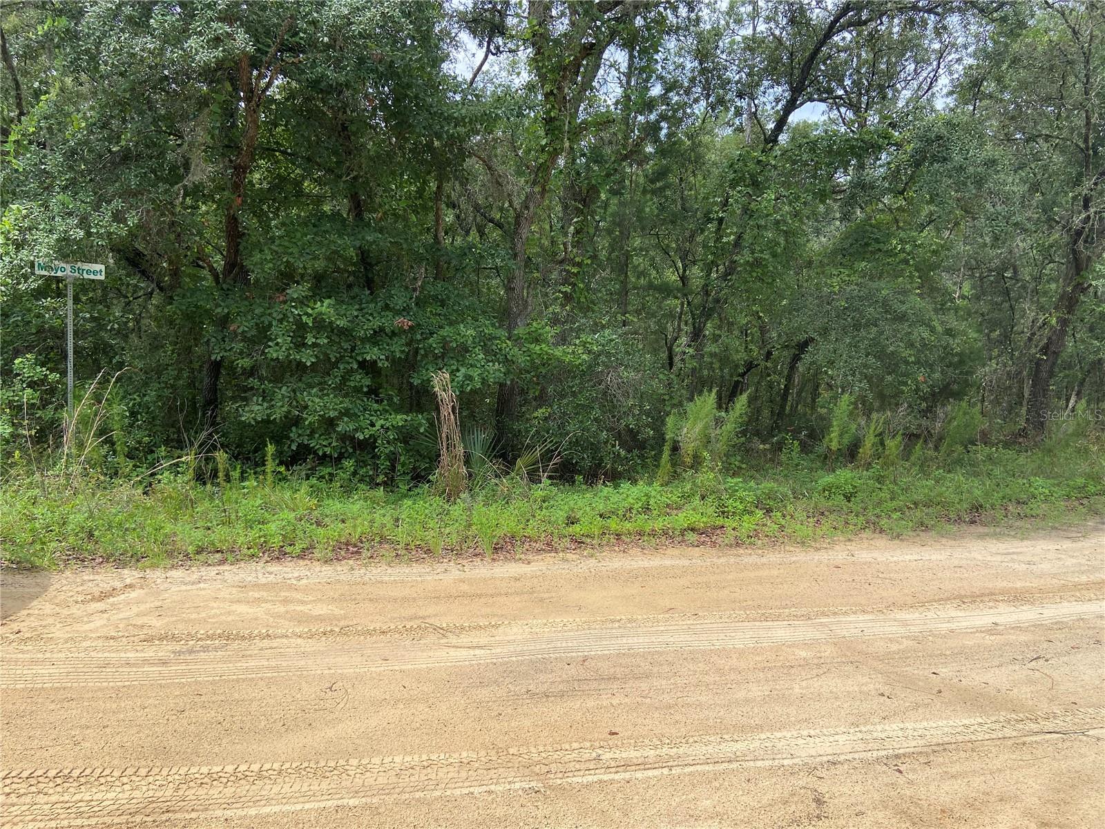 0 BANKS AVE, INTERLACHEN, FL, 32148