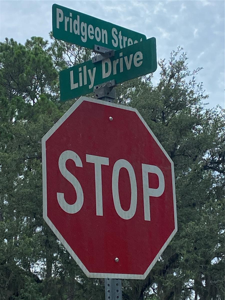 0 BANKS AVE, INTERLACHEN, FL, 32148