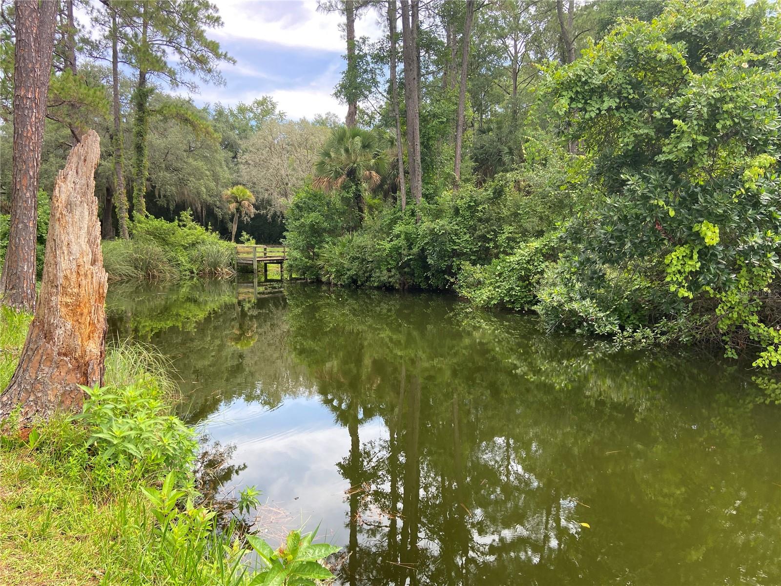 0 BANKS AVE, INTERLACHEN, FL, 32148