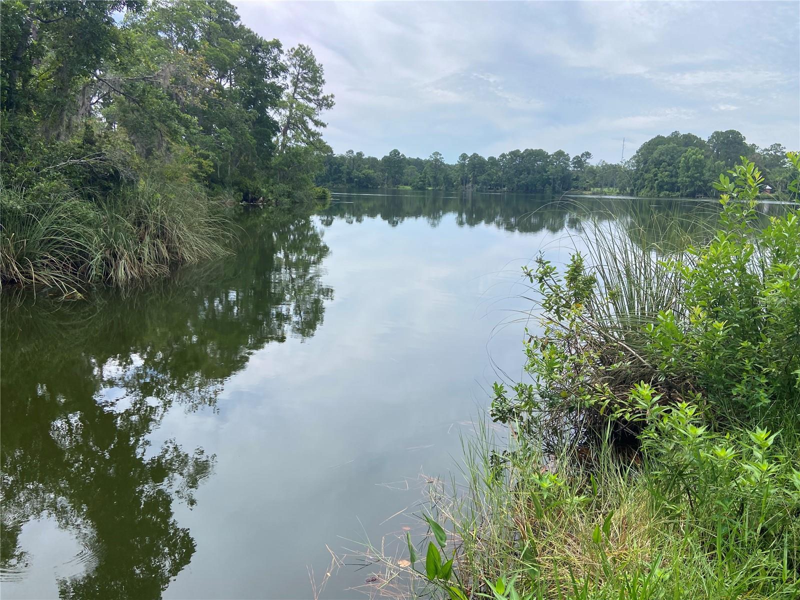 0 BANKS AVE, INTERLACHEN, FL, 32148