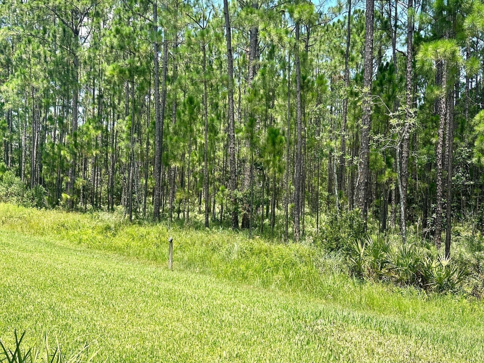 124 CERISE CT, DAYTONA BEACH, FL, 32124