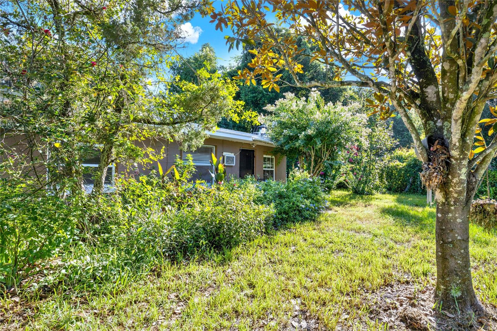 20621 SE HIGHWAY 42, UMATILLA, FL, 32784
