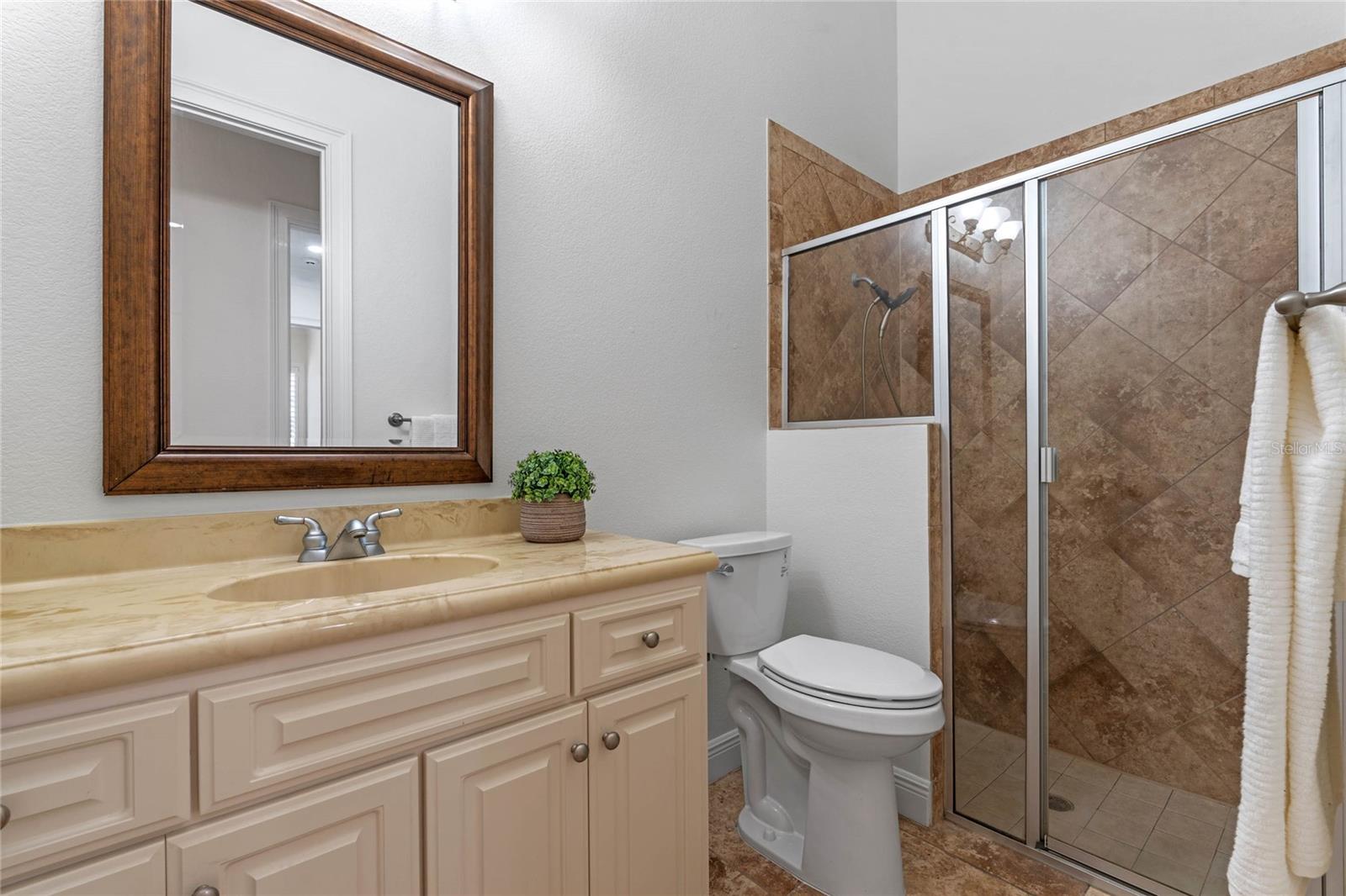 12848 JACOB GRACE CT, WINDERMERE, FL, 34786