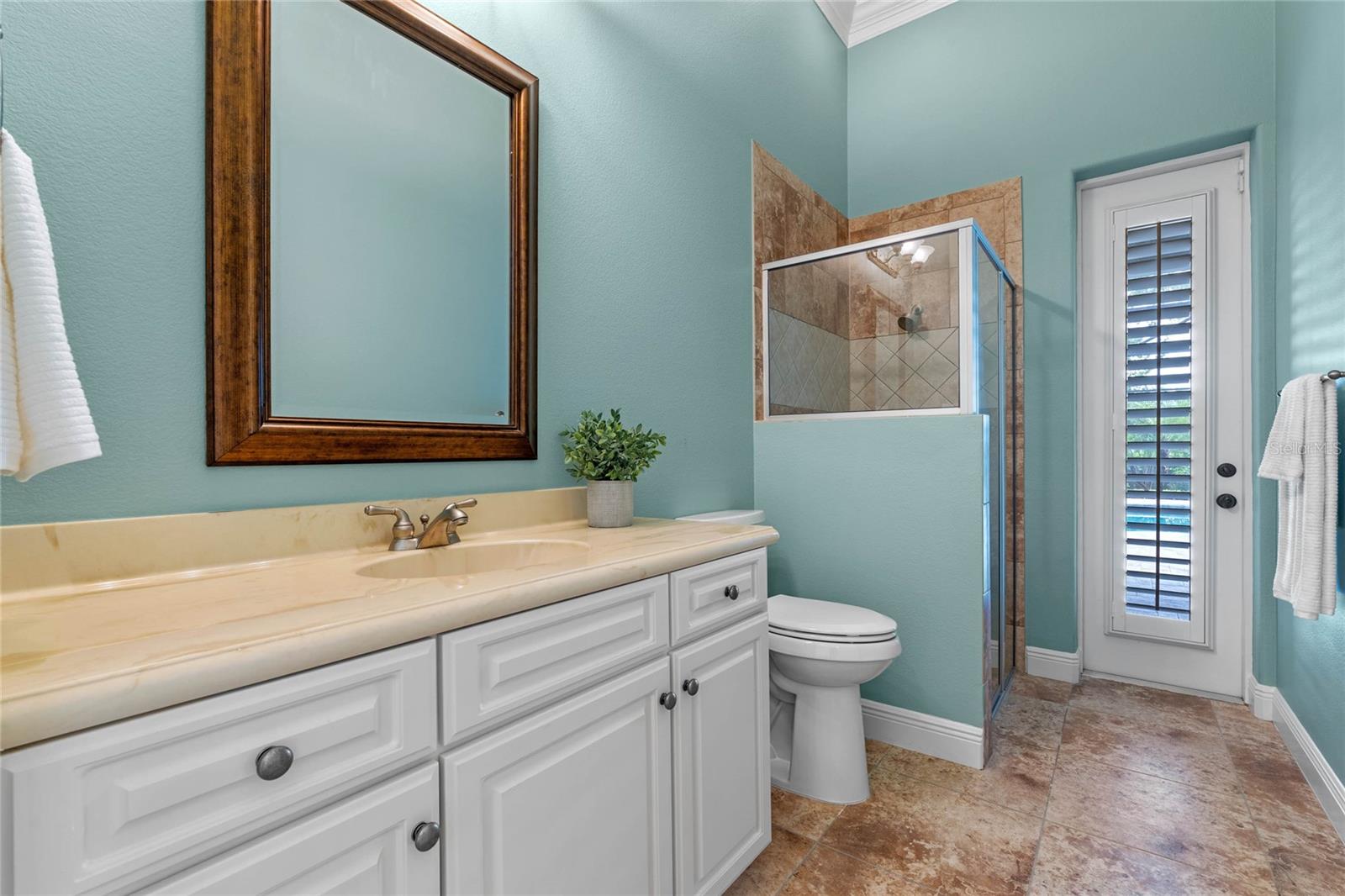 12848 JACOB GRACE CT, WINDERMERE, FL, 34786