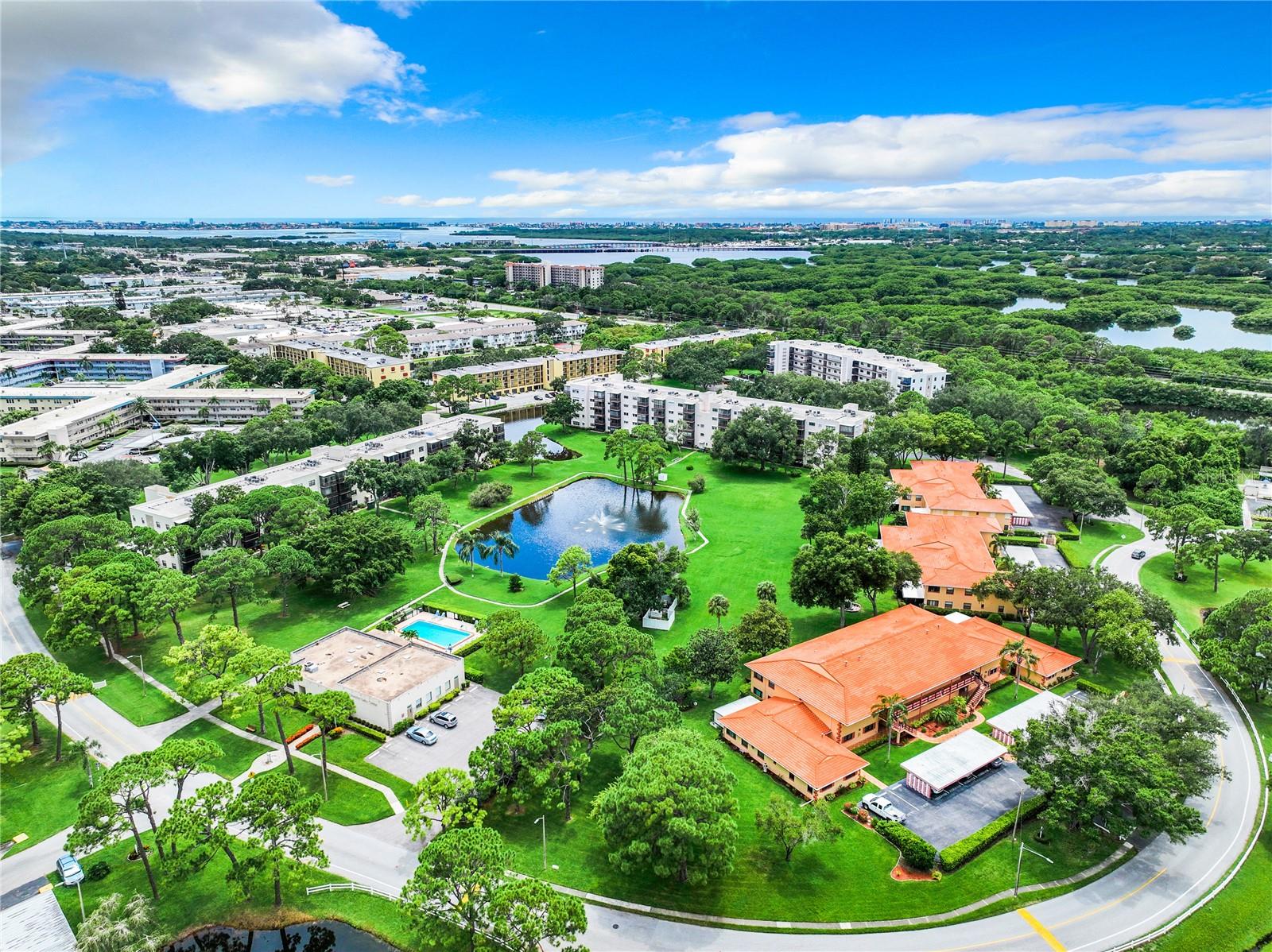 8174 TERRACE GARDEN DR N #410, SAINT PETERSBURG, FL, 33709