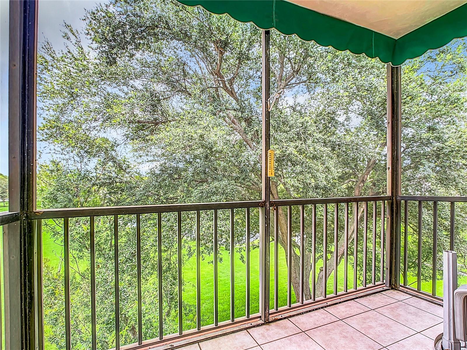 8174 TERRACE GARDEN DR N #410, SAINT PETERSBURG, FL, 33709