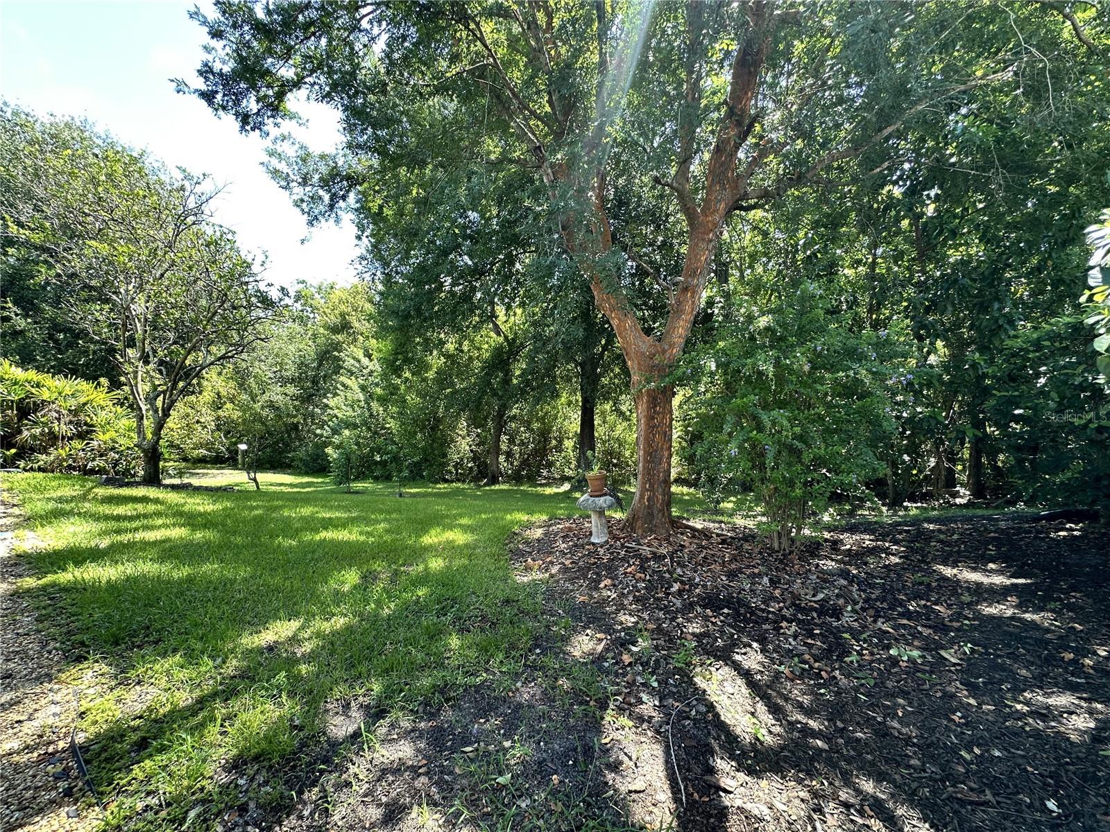 1817 BAILLIE GLASS LN, ORLANDO, FL, 32835