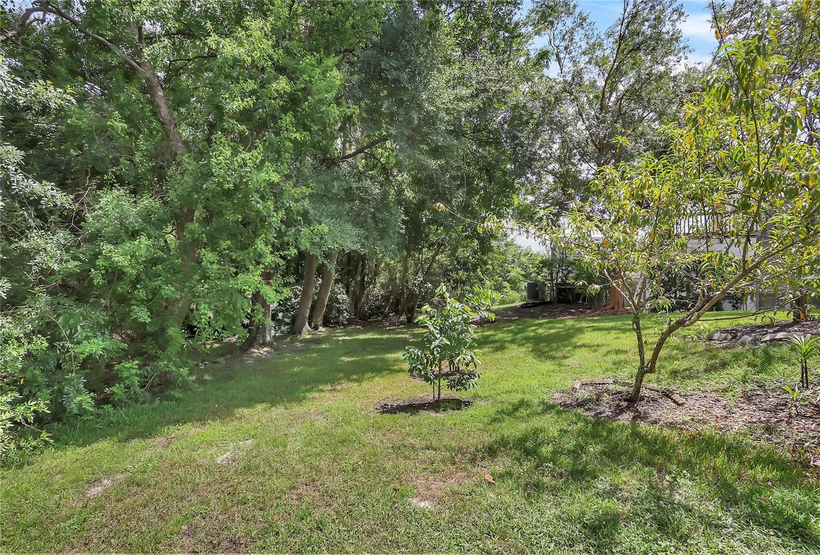 1817 BAILLIE GLASS LN, ORLANDO, FL, 32835