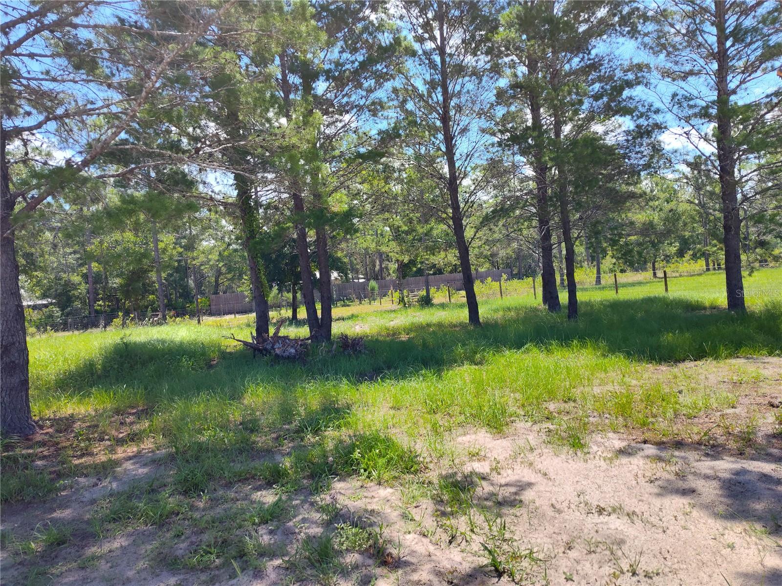 245 LITTLE BROWN CHURCH RD, PIERSON, FL, 32180