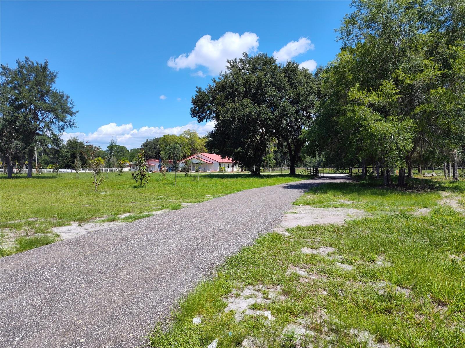 245 LITTLE BROWN CHURCH RD, PIERSON, FL, 32180