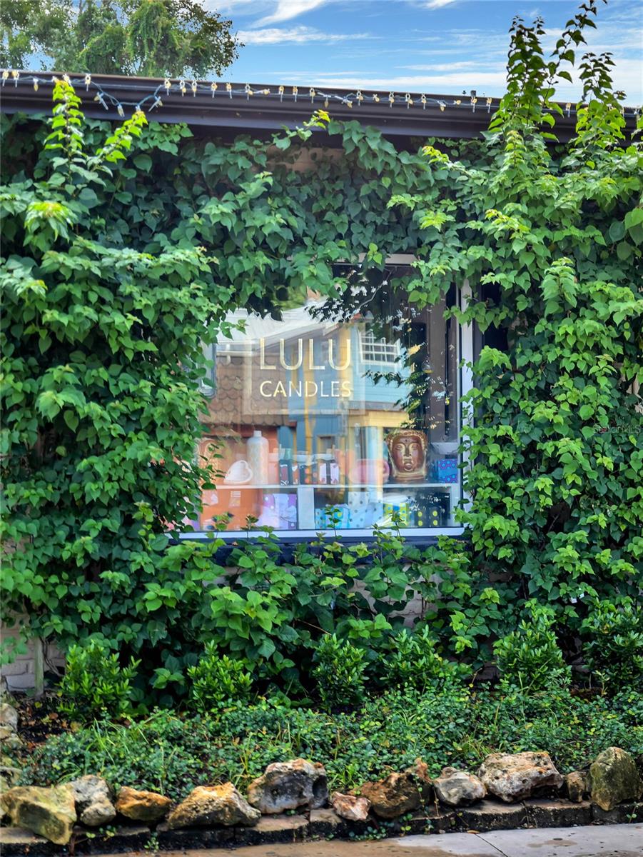 101 N GRANDVIEW ST #205, MOUNT DORA, FL, 32757