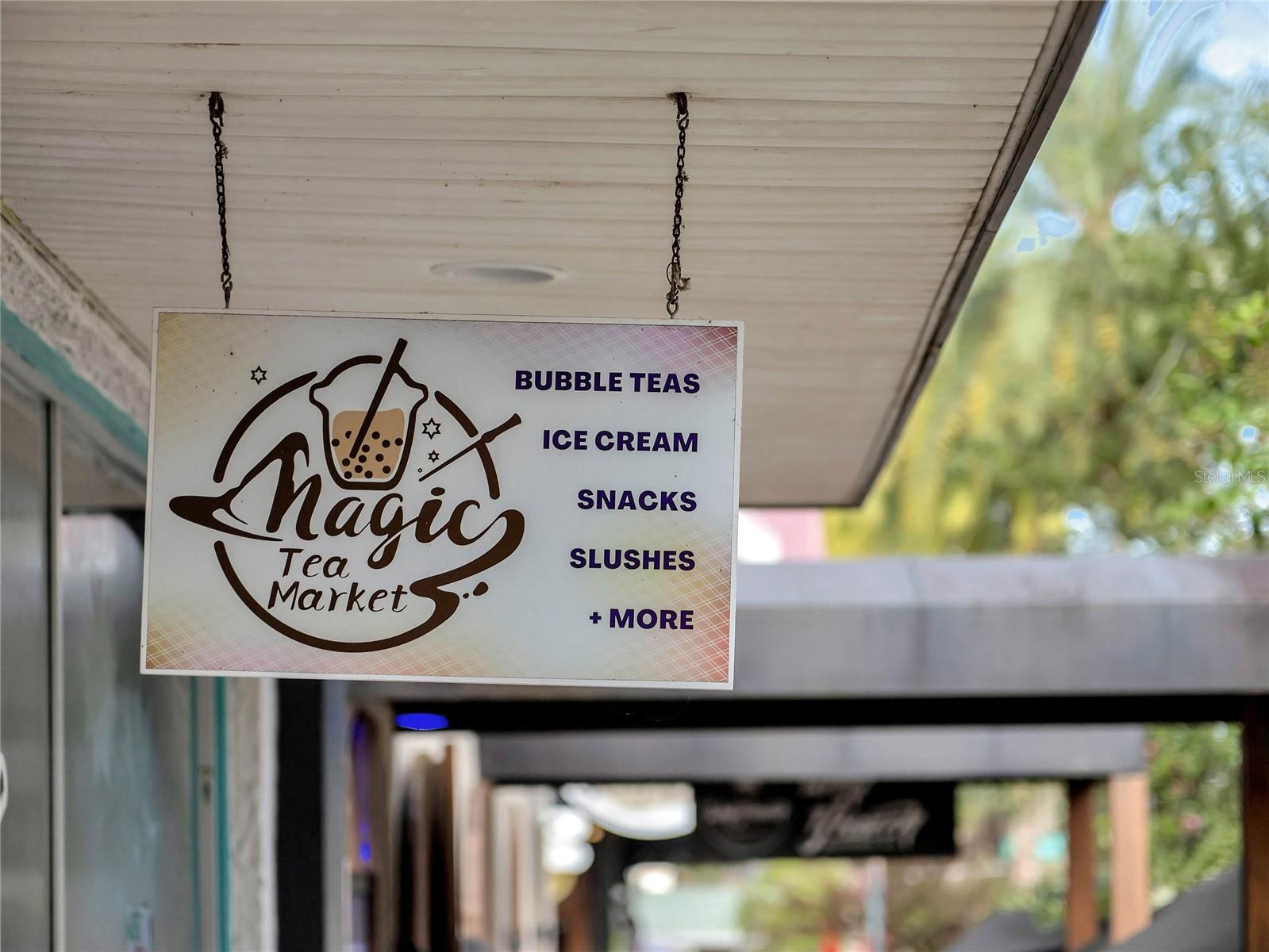 101 N GRANDVIEW ST #205, MOUNT DORA, FL, 32757