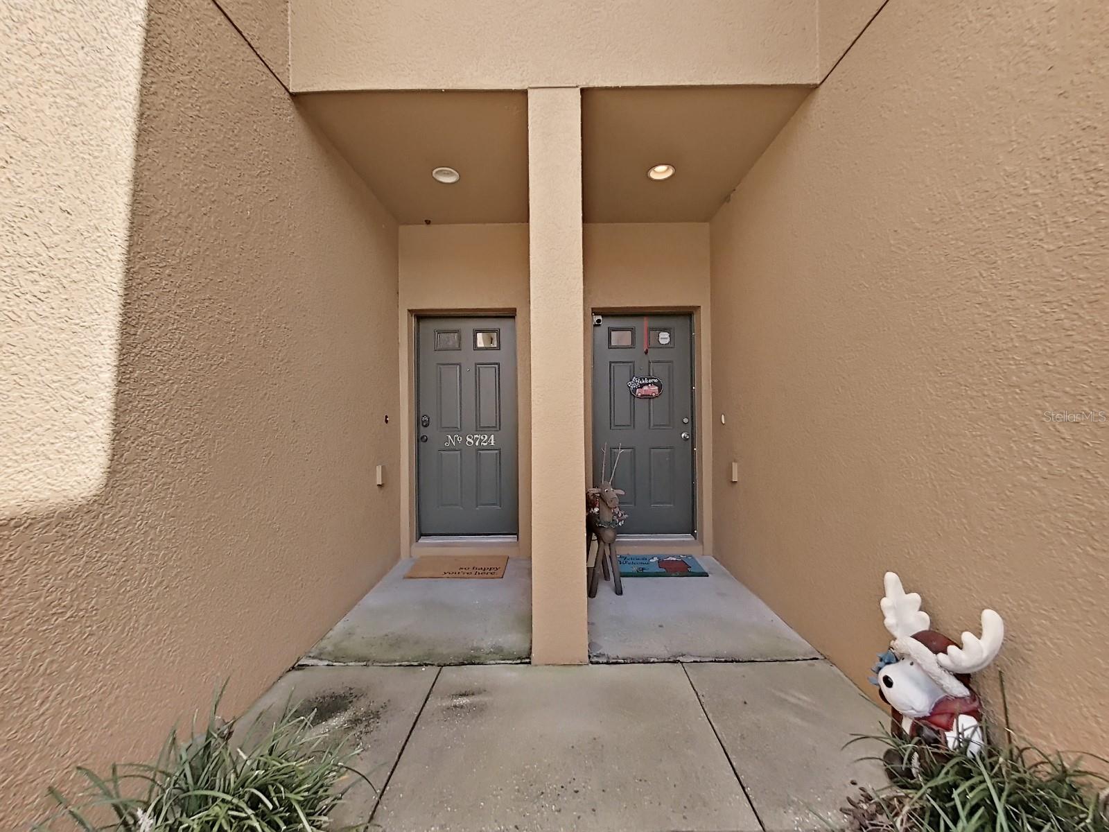 8724 TURNSTONE HAVEN PL, TAMPA, FL, 33619