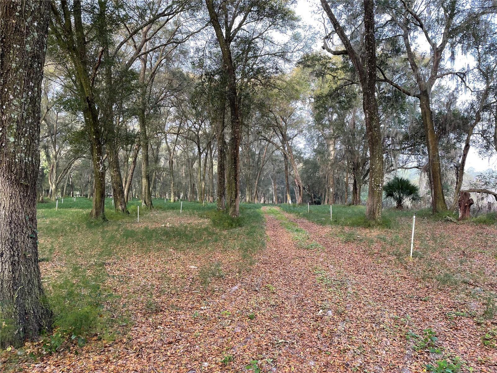 1494 TILLY BYRD RD, SEVILLE, FL, 32190