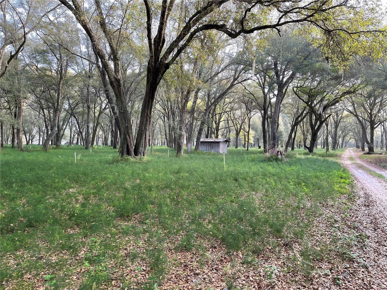 1494 TILLY BYRD RD, SEVILLE, FL, 32190