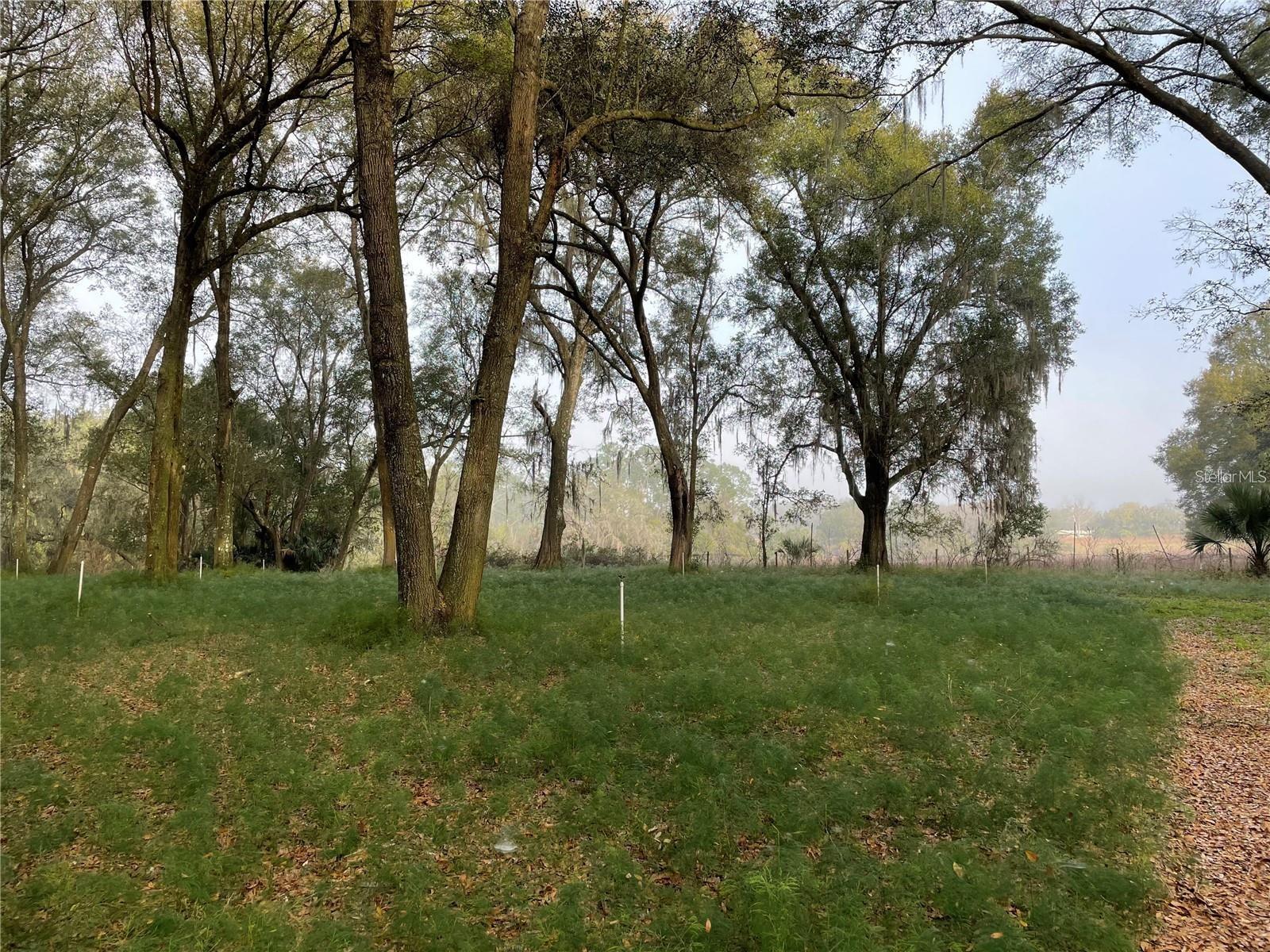 1494 TILLY BYRD RD, SEVILLE, FL, 32190