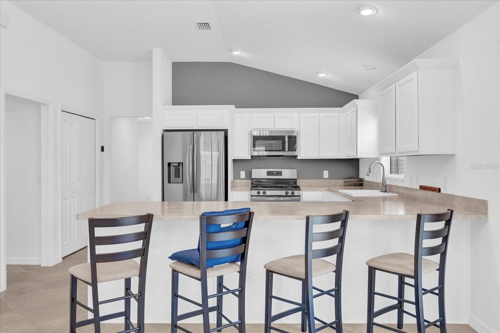 580 KAOLIN PATH, THE VILLAGES, FL, 32163