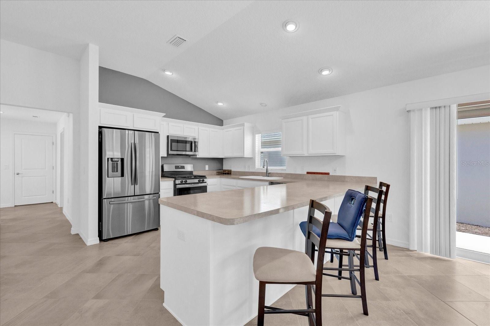 580 KAOLIN PATH, THE VILLAGES, FL, 32163