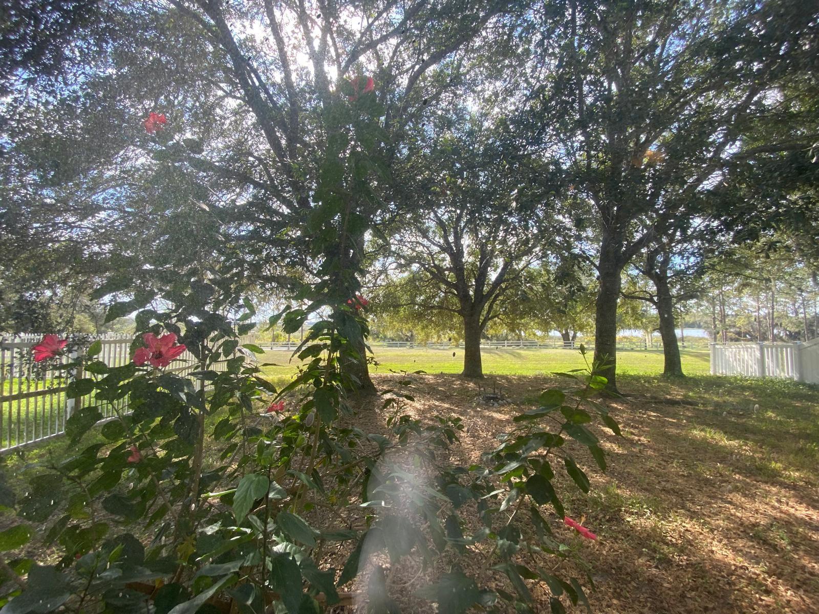 152 DAKOTA AVE, GROVELAND, FL, 34736