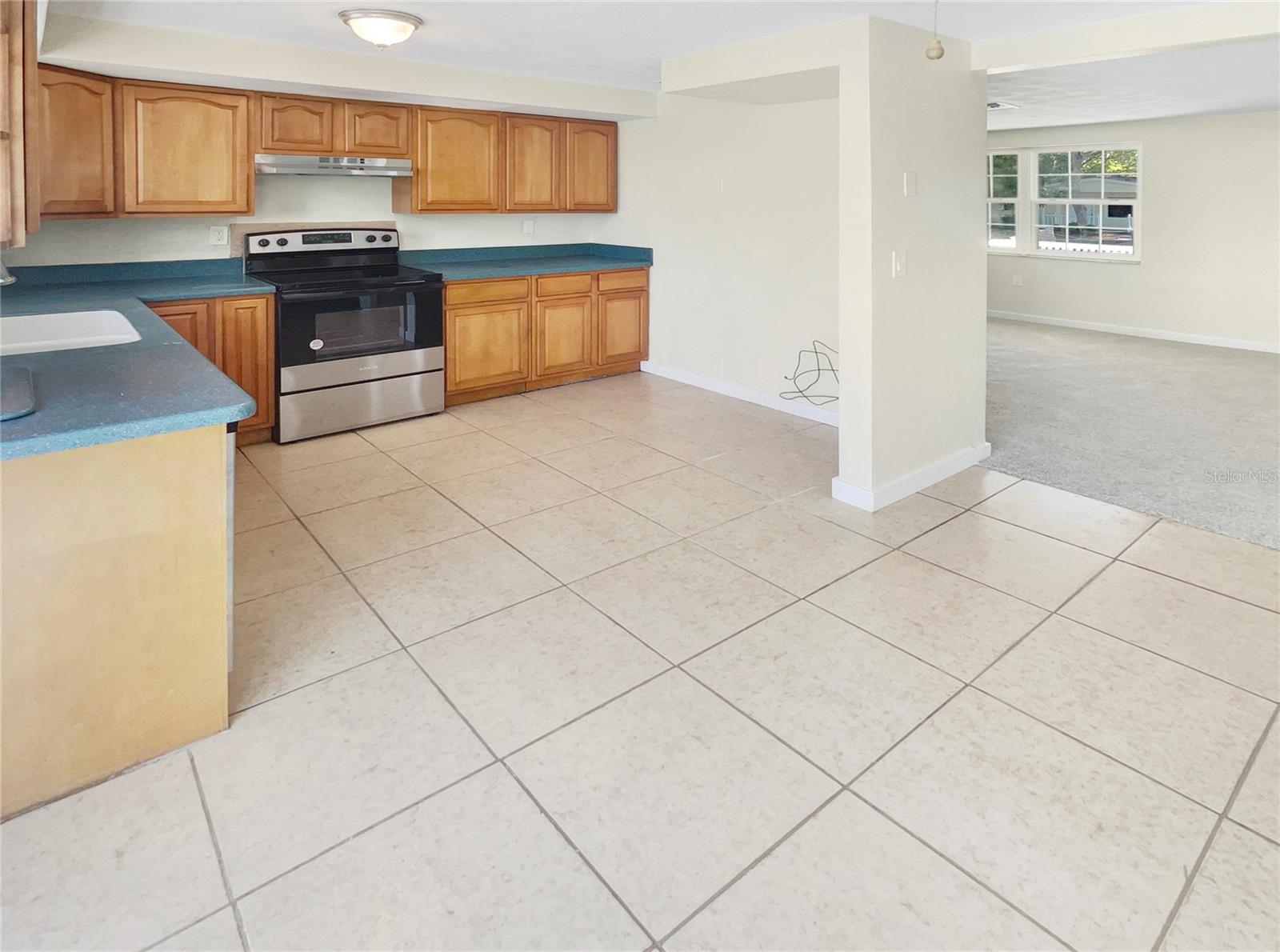 229 MAPLE AVE, PALM HARBOR, FL, 34684
